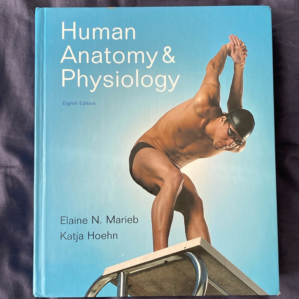 Human Anatomy & Physiology by Marieb & Hoehn - 8th Edition - Hardcover